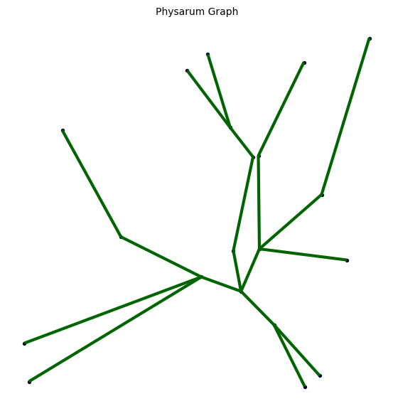 Example graphs